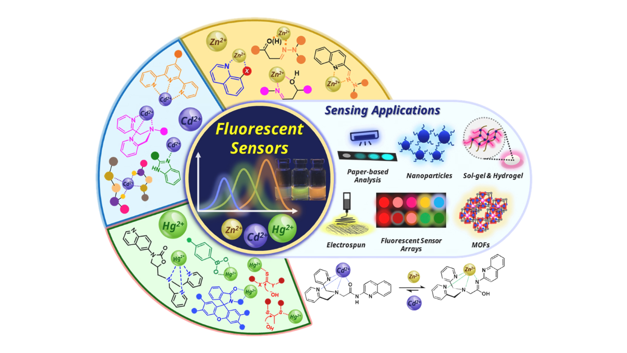 Fluorescent probes for heavy metal detection: A review of emerging trends and advances in sensing zinc, cadmium, and mercury ions